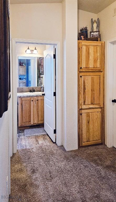 950 N Harrison St, Lima, MT 59739 - corridor with light colored carpet