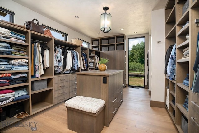 240 Horsetail Rd, Bozeman, MT 59715 - spacious closet featuring light wood-style flooring