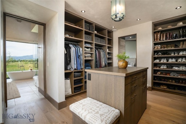 240 Horsetail Rd, Bozeman, MT 59715 - spacious closet featuring light wood-style floors