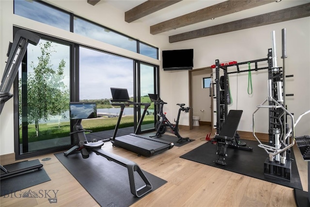 240 Horsetail Rd, Bozeman, MT 59715 - exercise room with wood finished floors