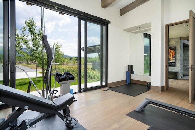 240 Horsetail Rd, Bozeman, MT 59715 - workout room featuring light wood-style flooring and plenty of natural light