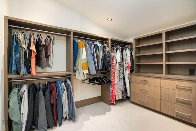 240 Horsetail Rd, Bozeman, MT 59715 - spacious closet with lofted ceiling and carpet floors