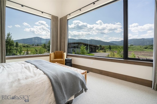 240 Horsetail Rd, Bozeman, MT 59715 - carpeted bedroom with a mountain view and multiple windows