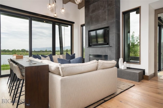 240 Horsetail Rd, Bozeman, MT 59715 - living area with plenty of natural light, light wood finished floors, and a large fireplace