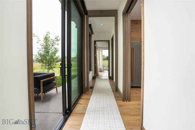 240 Horsetail Rd, Bozeman, MT 59715 - corridor featuring light wood-type flooring