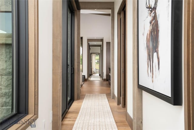 240 Horsetail Rd, Bozeman, MT 59715 - corridor with light wood-style flooring and recessed lighting