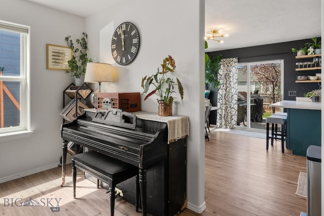 119 Meadow Brook Ln, Belgrade, MT 59714 - living area with wood finished floors and baseboards