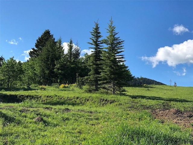 215 Martinez Spring Rd, Bozeman, MT 59718