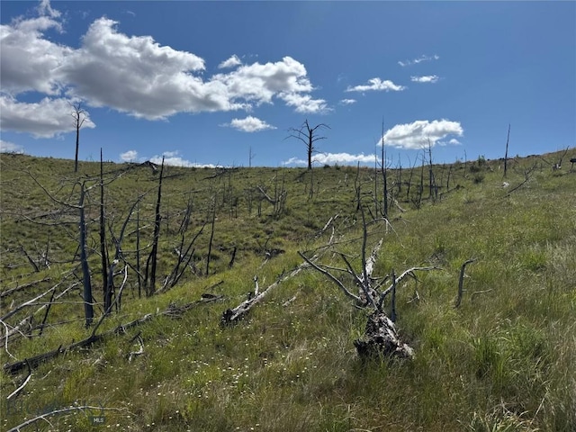 201 Coyote Pass, Columbus, MT 59019