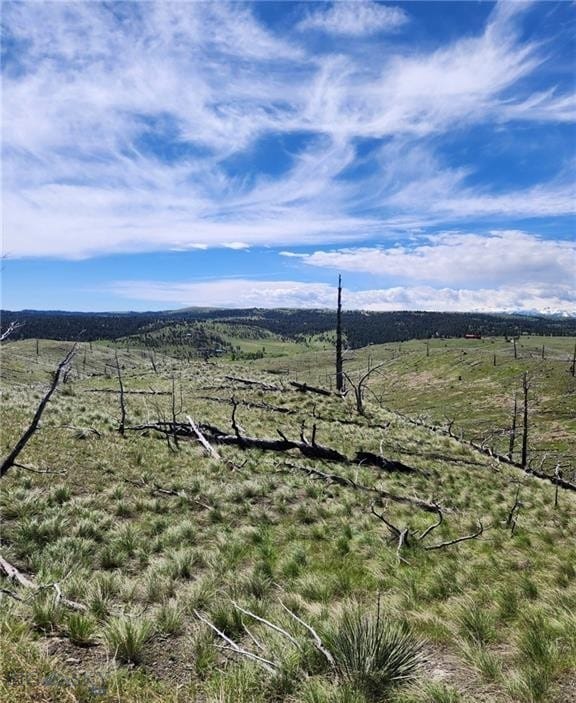 201 Coyote Pass, Columbus, MT 59019