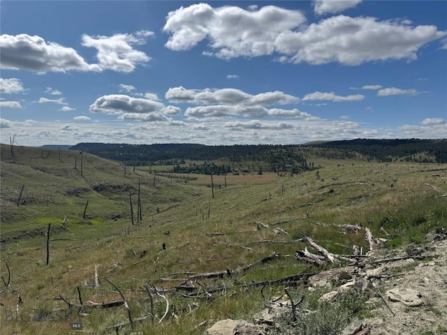 222 Coyote Pass, Columbus, MT 59019