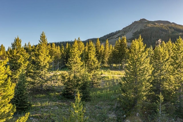 TBD Diamond Hitch Rd, Big Sky, MT 59716