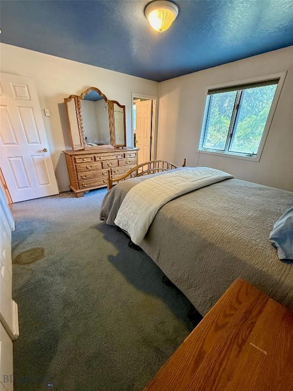 1364 Mcclellan Rd, West Yellowstone, MT 59758 - view of carpeted bedroom