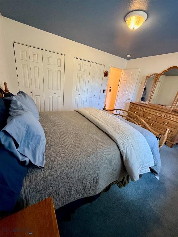 1364 Mcclellan Rd, West Yellowstone, MT 59758 - carpeted bedroom featuring two closets
