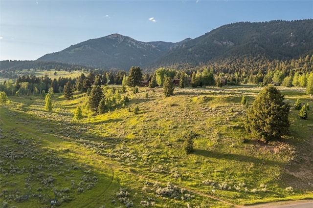 TBD Little Coyote, Big Sky, MT 59716