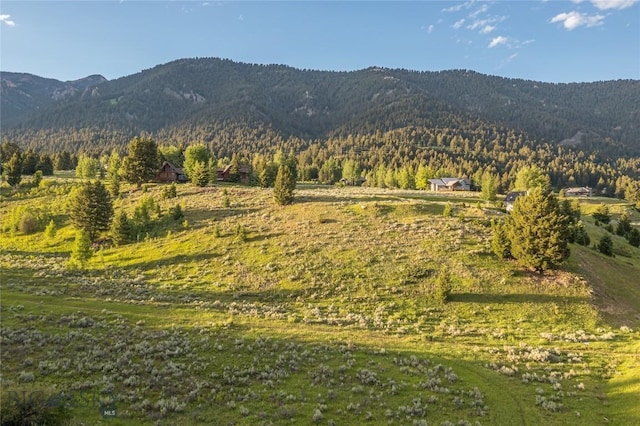 TBD Little Coyote, Big Sky, MT 59716