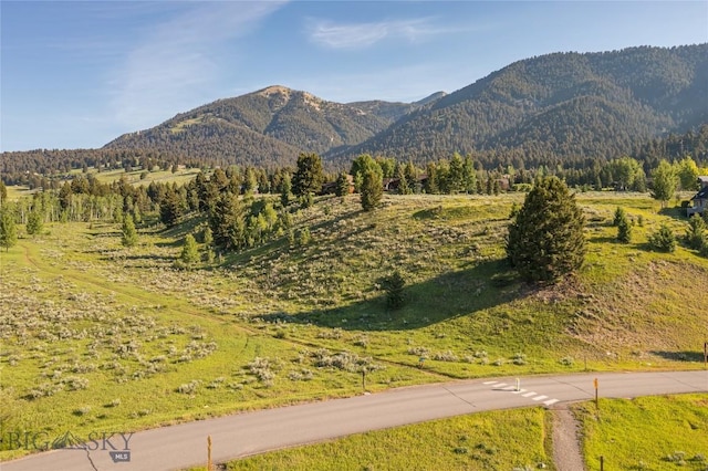 TBD Little Coyote, Big Sky, MT 59716