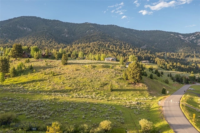 TBD Little Coyote, Big Sky, MT 59716