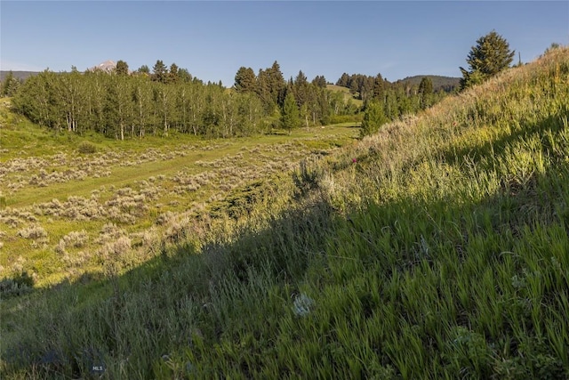 TBD Little Coyote, Big Sky, MT 59716