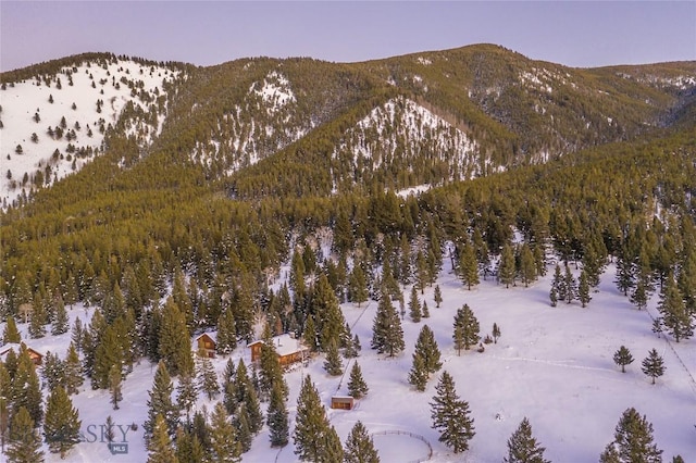 49824 Gallatin Rd, Big Sky, MT 59730 - view of mountain backdrop with a heavily wooded area