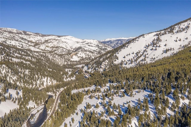 49824 Gallatin Rd, Big Sky, MT 59730 - view of mountain background