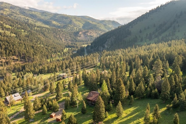 49824 Gallatin Rd, Big Sky, MT 59730 - view of mountain backdrop featuring a forest
