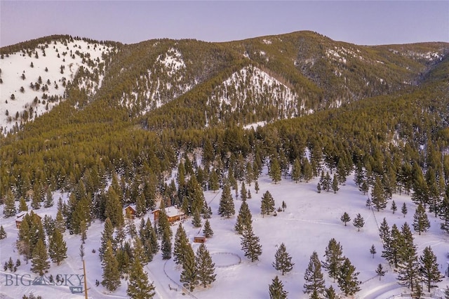 49824 Gallatin Rd, Big Sky, MT 59730 - view of mountain backdrop with a forest