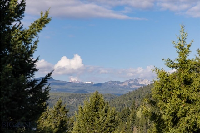 49824 Gallatin Rd, Big Sky, MT 59730 - view of mountain backdrop with a forest