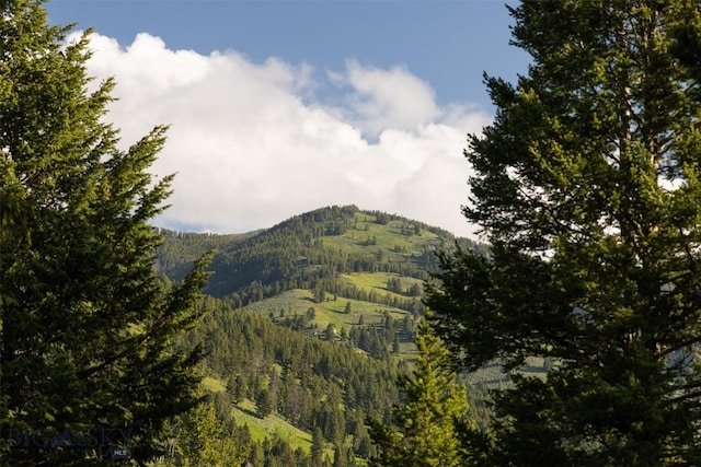 49824 Gallatin Rd, Big Sky, MT 59730 - view of mountain background