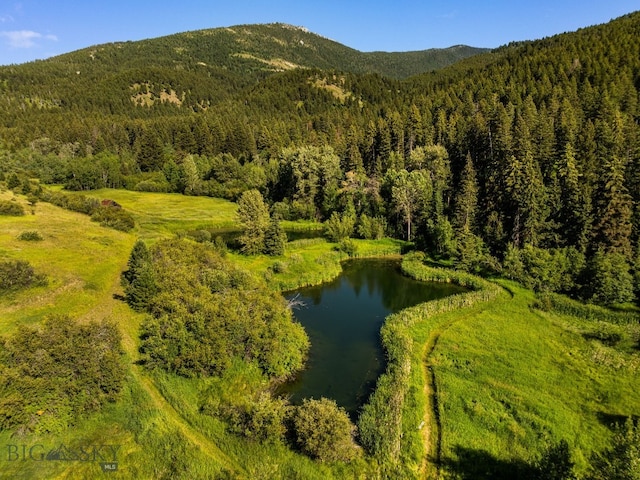 1878 Star Ridge Rd, Bozeman, MT 59715 - aerial view of a water and mountain view and a heavily wooded area