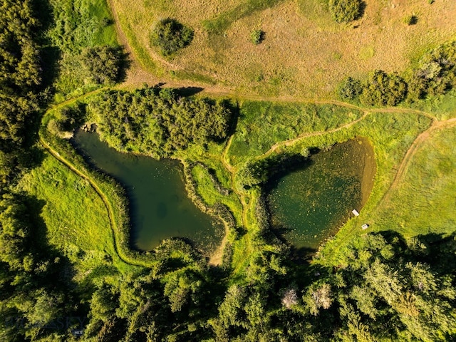 1878 Star Ridge Rd, Bozeman, MT 59715 - bird's eye view