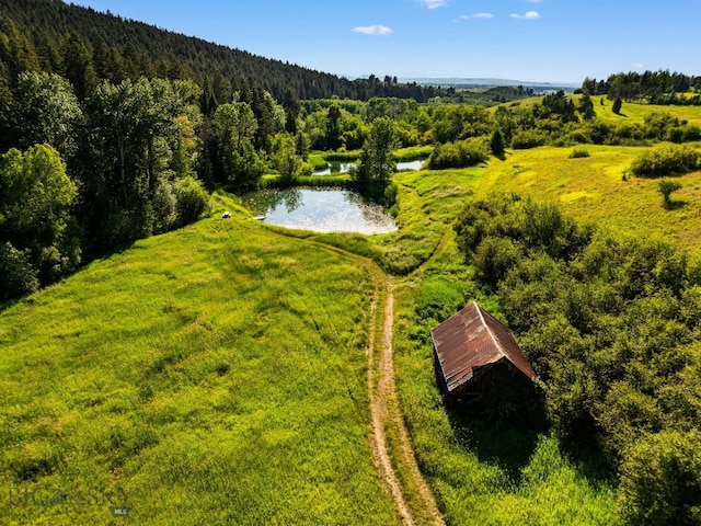 1878 Star Ridge Rd, Bozeman, MT 59715 - aerial view of a large body of water and a forest