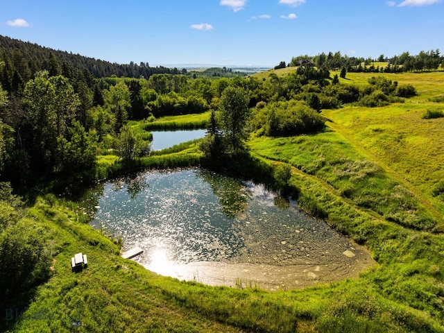 1878 Star Ridge Rd, Bozeman, MT 59715 - water view with a forest