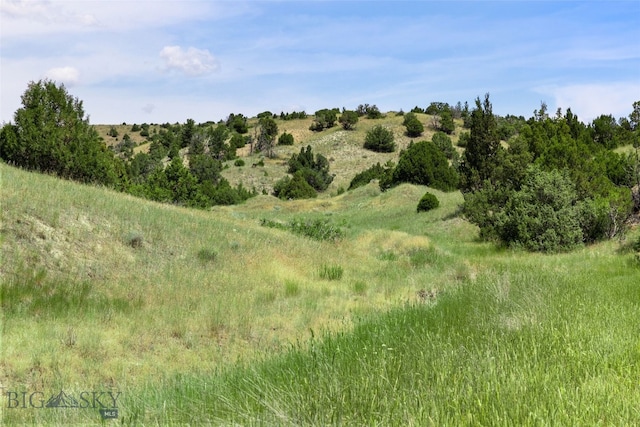 5835 Spaulding Bridge Rd, Belgrade, MT 59714 - view of local wilderness