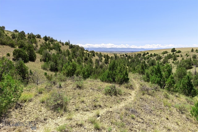 5835 Spaulding Bridge Rd, Belgrade, MT 59714 - mountain view
