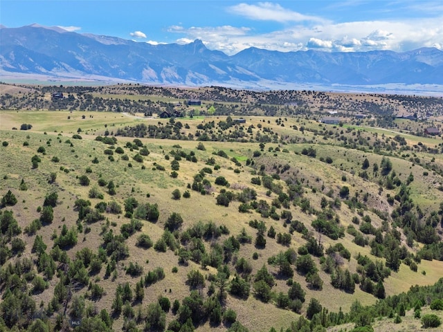 5835 Spaulding Bridge Rd, Belgrade, MT 59714 - view of mountain background