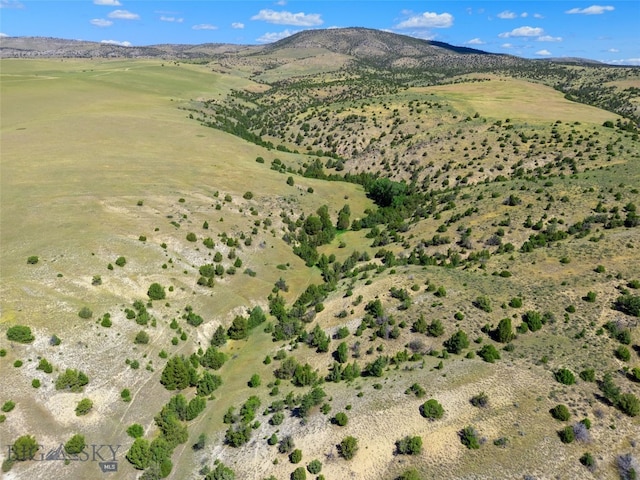 5835 Spaulding Bridge Rd, Belgrade, MT 59714 - mountain view