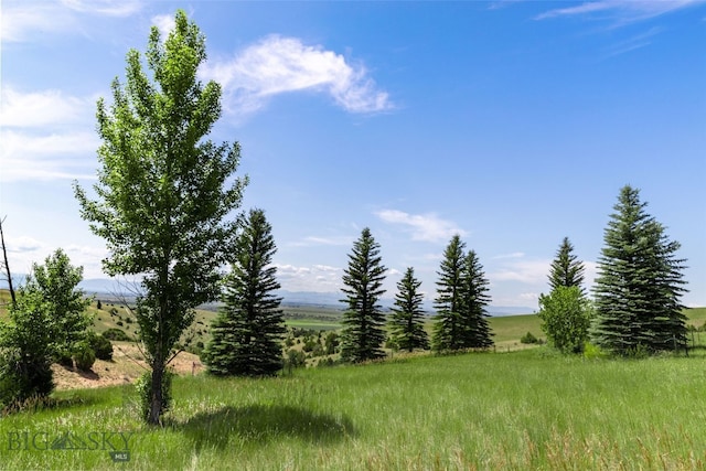 5835 Spaulding Bridge Rd, Belgrade, MT 59714 - view of undeveloped land with rural landscape