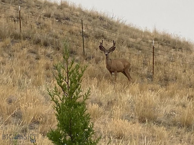 5835 Spaulding Bridge Rd, Belgrade, MT 59714 - view of local wilderness