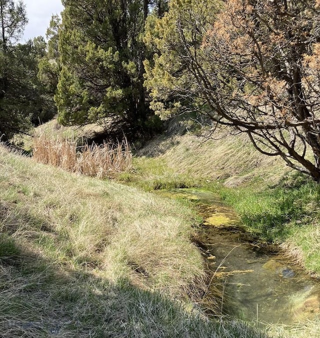 5835 Spaulding Bridge Rd, Belgrade, MT 59714 - view of local wilderness