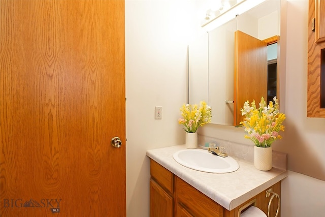 2200 W Dickerson Unit 46, Bozeman, MT 59718 - bathroom with vanity