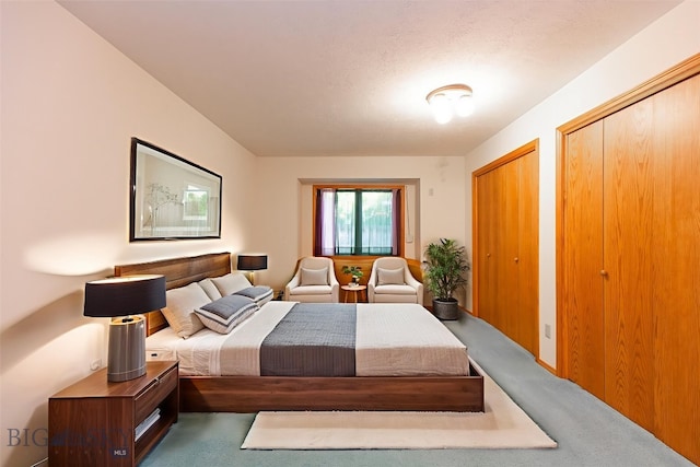 2200 W Dickerson Unit 46, Bozeman, MT 59718 - bedroom featuring carpet and multiple closets