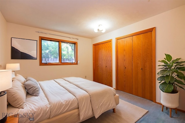 2200 W Dickerson Unit 46, Bozeman, MT 59718 - carpeted bedroom with two closets