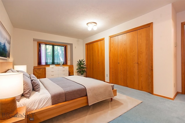2200 W Dickerson Unit 46, Bozeman, MT 59718 - carpeted bedroom featuring two closets and baseboards