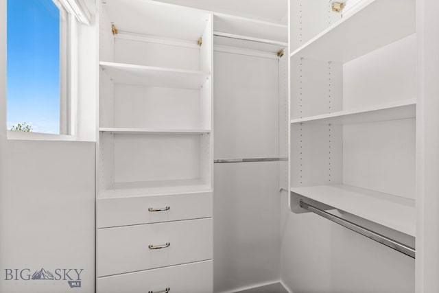 3139 Blackbird Dr, Bozeman, MT 59718 - view of spacious closet