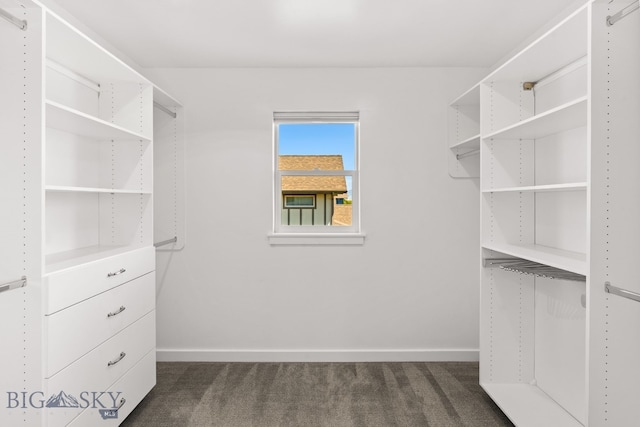 3139 Blackbird Dr, Bozeman, MT 59718 - spacious closet with dark colored carpet