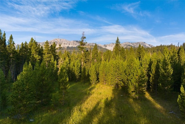 107 Winter Ln, Bozeman, MT 59715