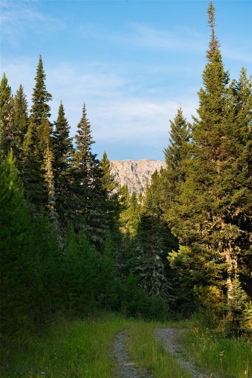 107 Winter Ln, Bozeman, MT 59715