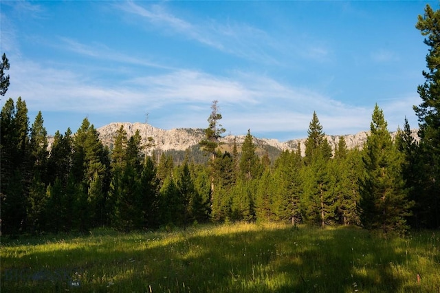 107 Winter Ln, Bozeman, MT 59715