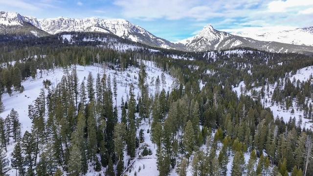 107 Winter Ln, Bozeman, MT 59715